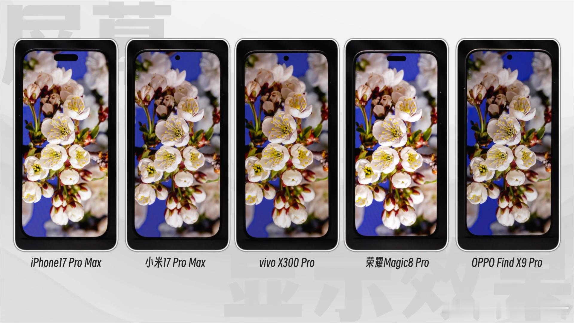 果米OV耀，五款Pro屏幕也正好来自五个供应商，也代表各家屏幕的最高水准。iP