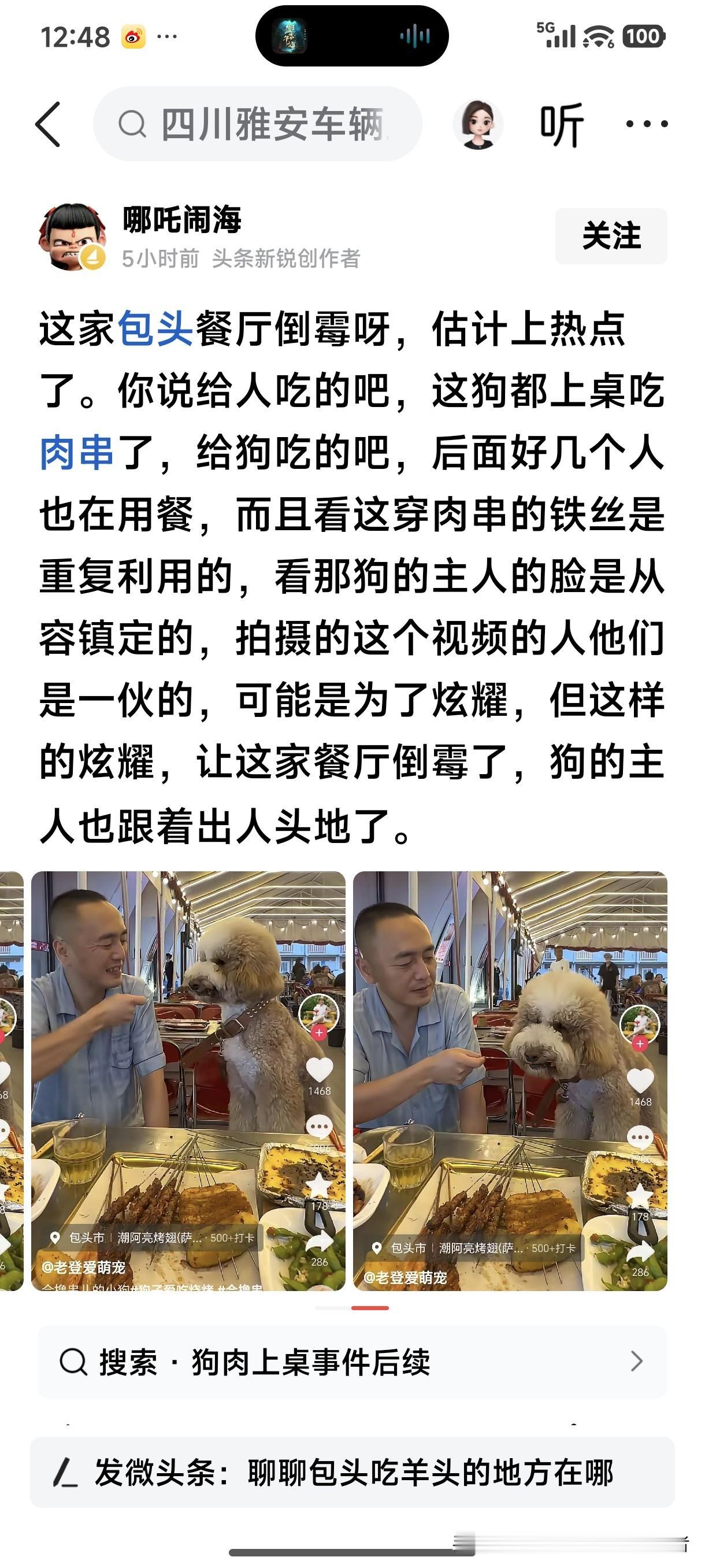 以后不要再发狗在餐厅上桌吃食的视频了，你认为餐厅因狗而倒霉，那为啥越来越多的餐厅