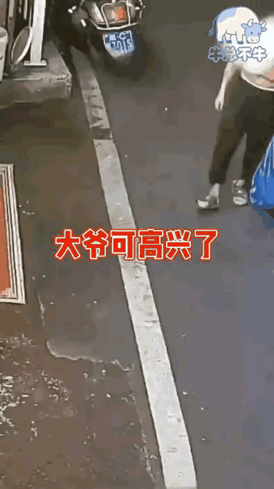 东瞧西逛总想偷提起鱼网就开溜做贼之人心发慌闯了红灯撞车辆哐当一声人撞死