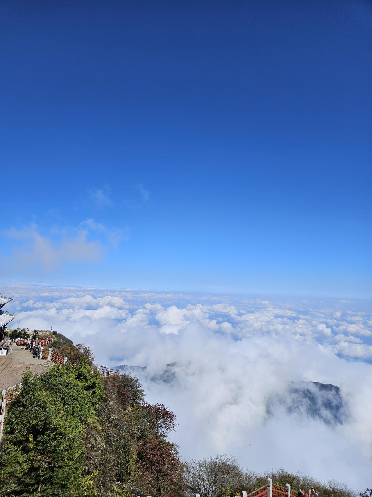 分享一张随手拍来的最美的风景