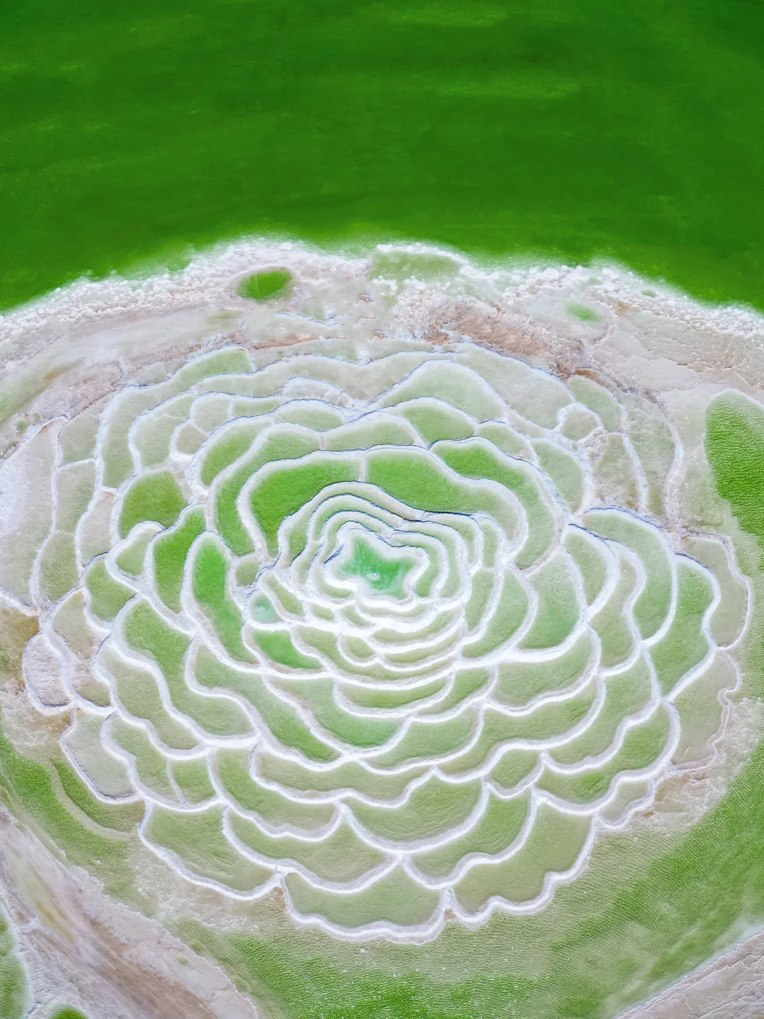 为了这18张照片，我专门去了一趟大西北