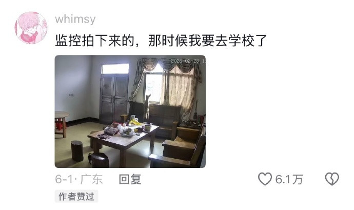 小狗的爱很拙劣，但爱意很浓烈。动物奇遇记