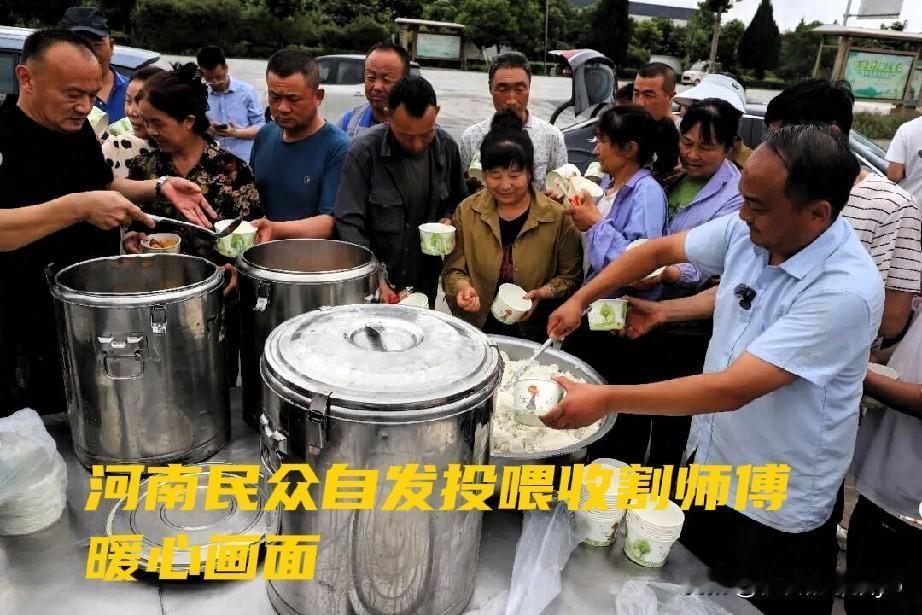 今年麦收，湖北和河南的情况截然不同。湖北襄阳“割四赔五”事件闹得沸沸扬扬。年轻
