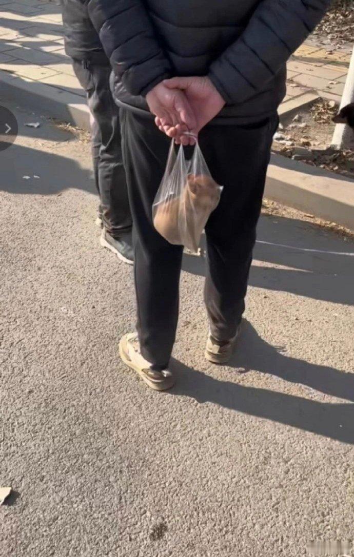 狗子：这辈子都没这么无语过 ​​​