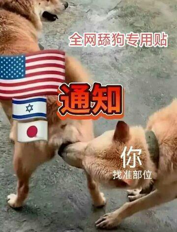 对大殖子的描述真形象啊