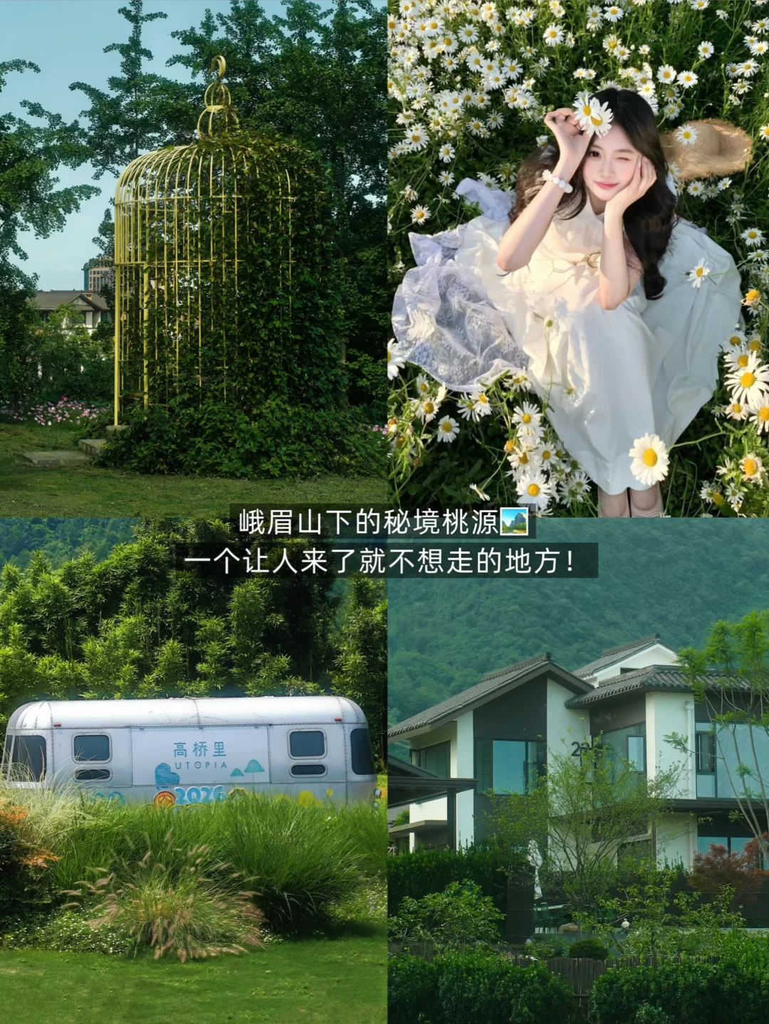 峨眉山野慢时光✨住进稻田边的治愈酒店🏨