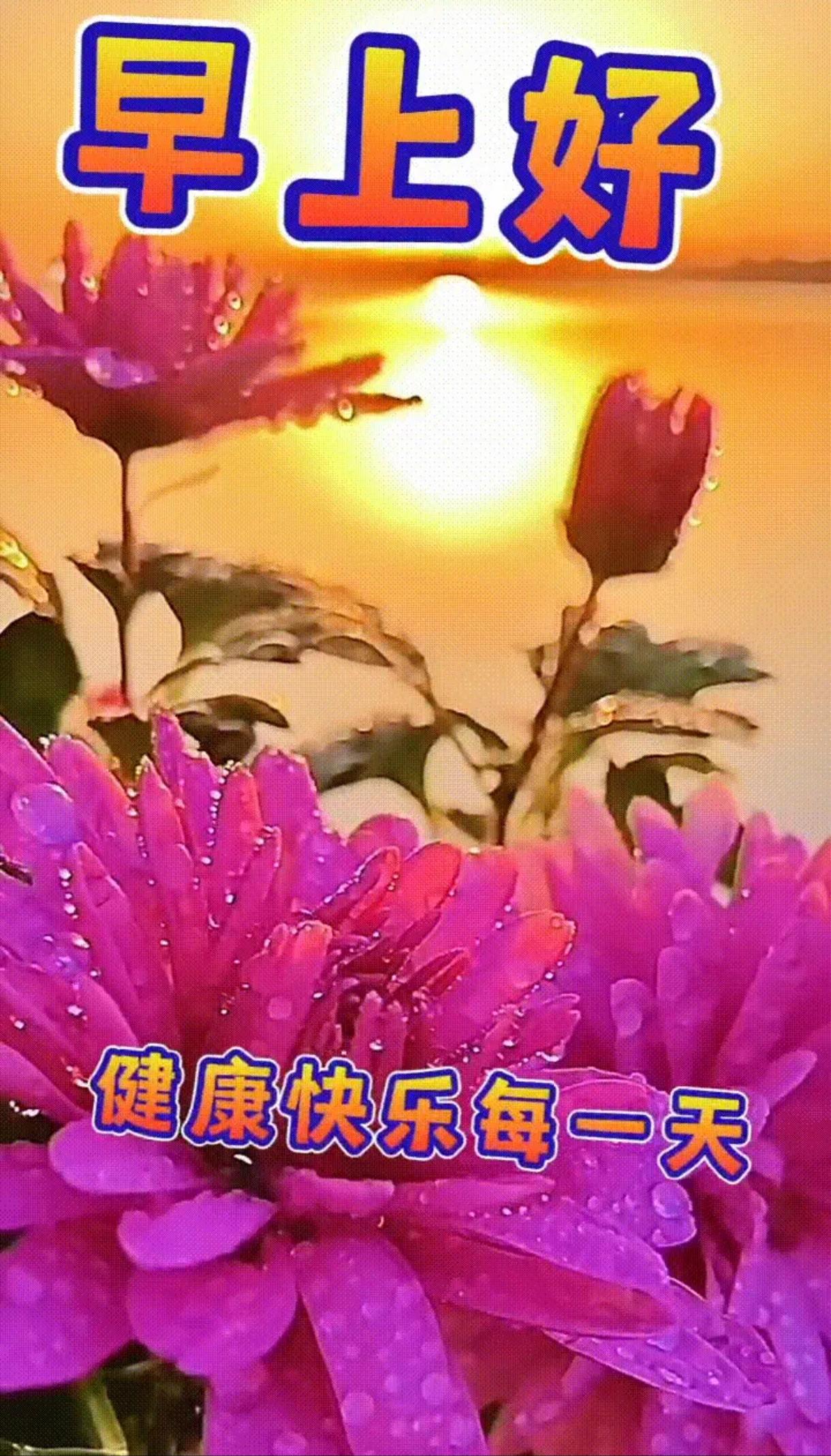 小故事挥泪斩马谡诸葛领兵北伐，一路捷报飞扬。关中连战连克，全军