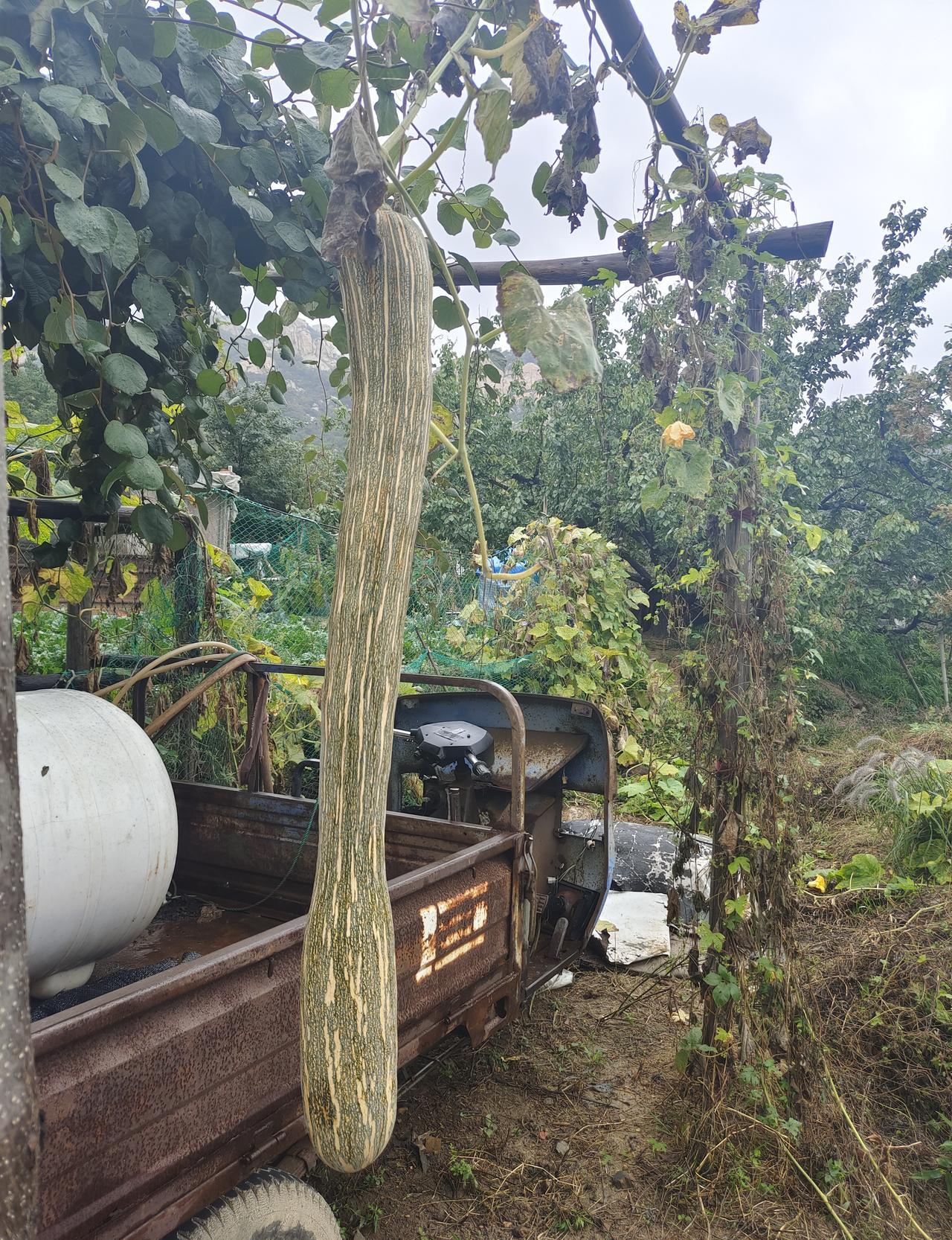 职称评审又开始刷屏了，老师们的电脑里，全是改了八遍的表格。不是材料不够，是规