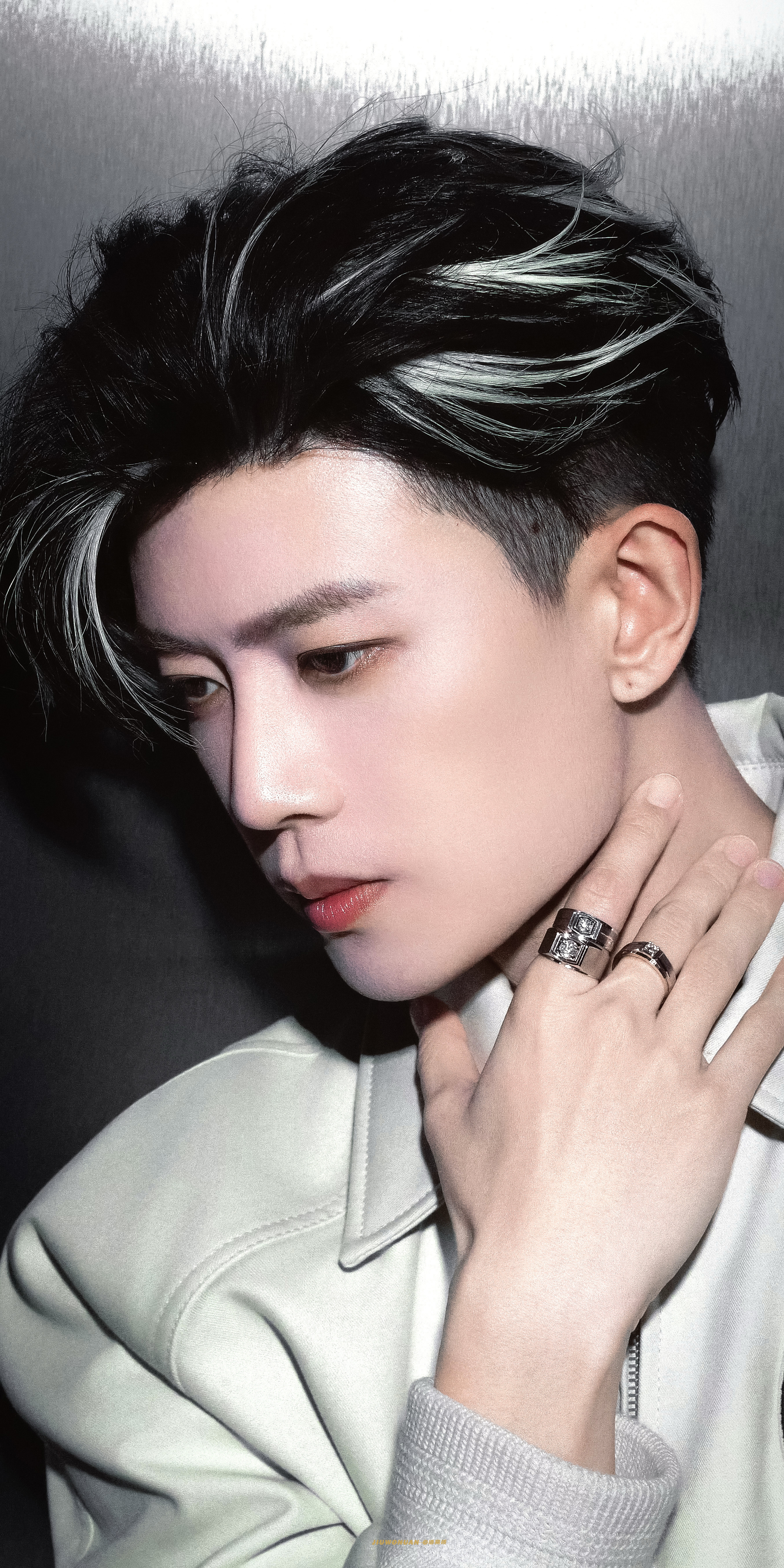 任嘉伦.任嘉伦音乐节​​​