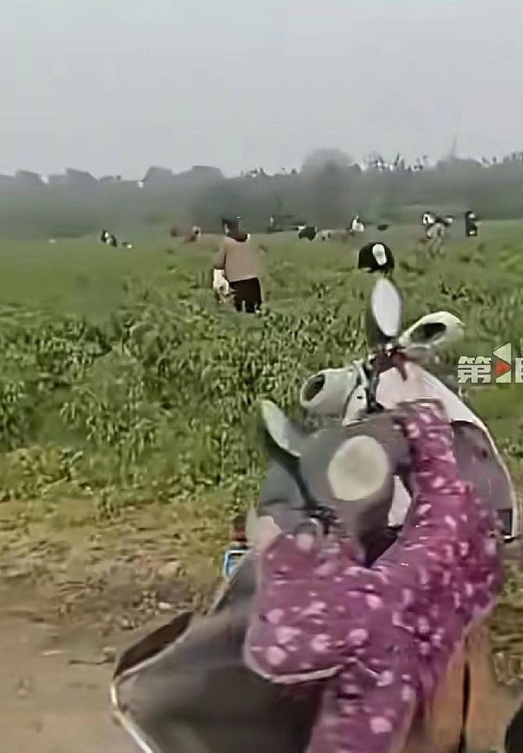 你的一句话，人家一年的辛苦就白干了一男子在社交平台发布了一条视频说，陕西刘家沟