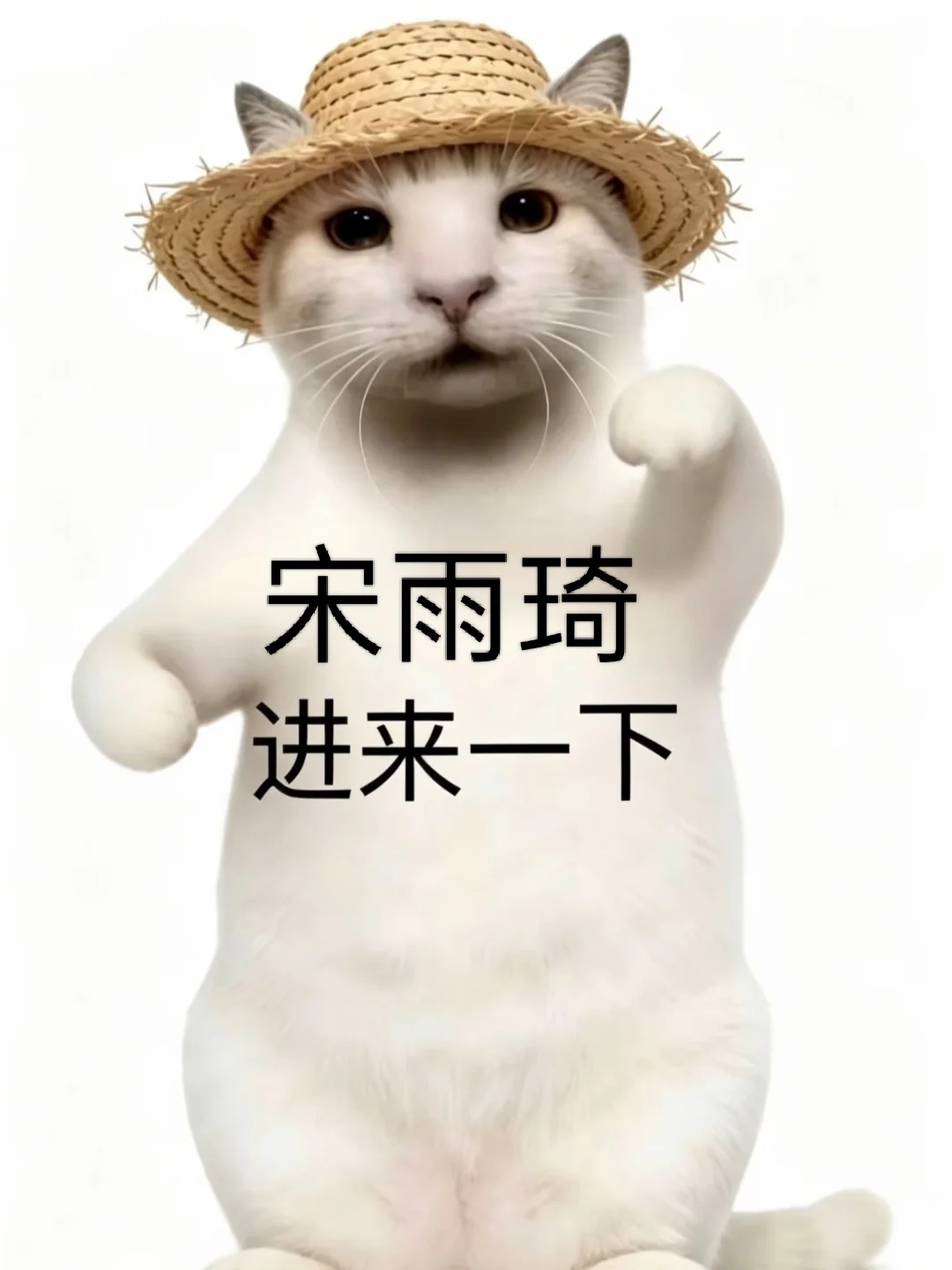 雨琦进来一下😮