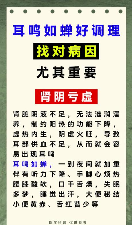 耳边总有蝉鸣声？找准根源，调理并不难