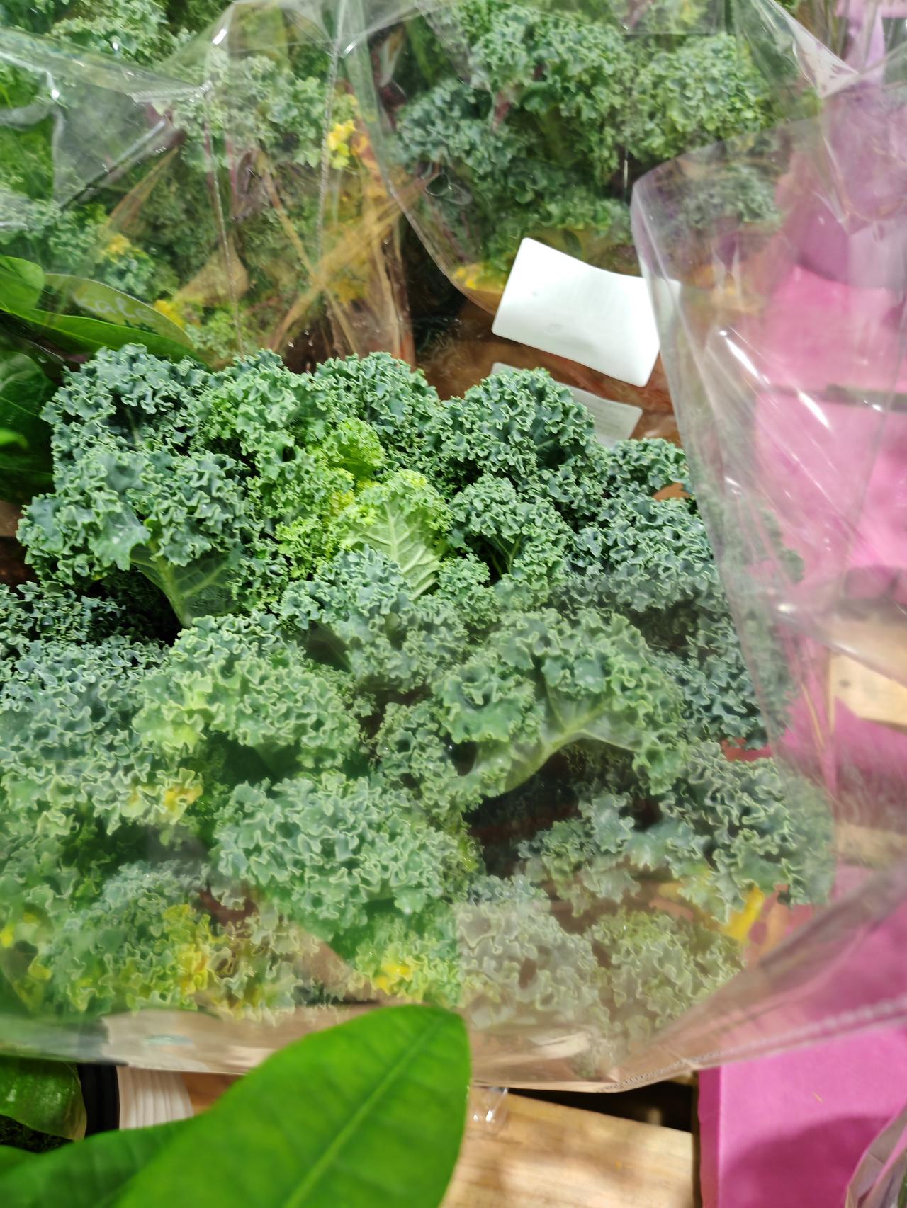 想象中，山姆超市的羽衣甘蓝盆栽简直是宝藏！这盆栽颜值超高，叶片颜色丰富，摆在家里