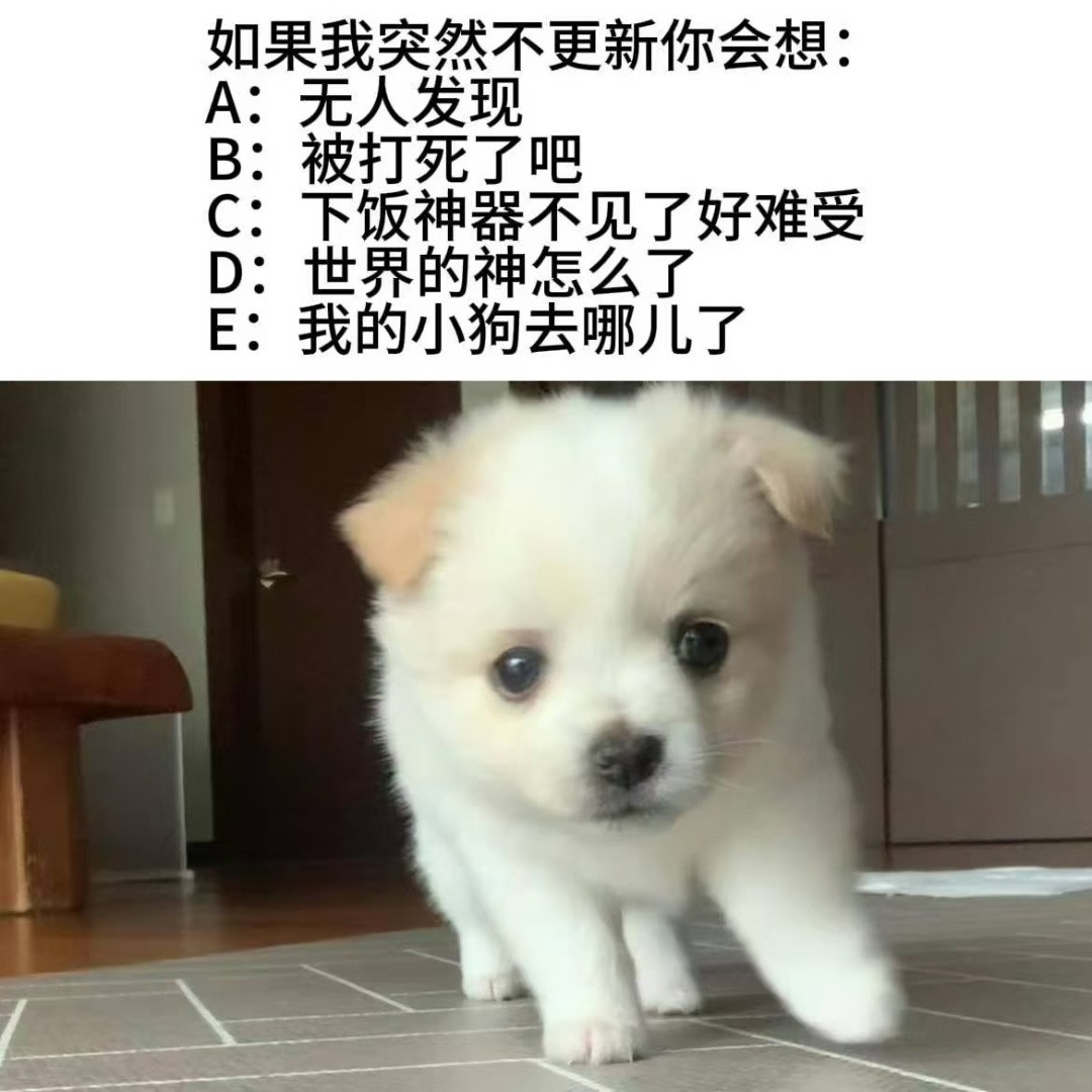 狗meme表情包