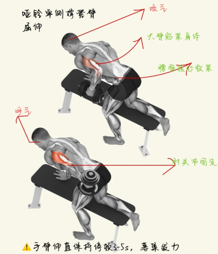 哑铃单侧撑凳臂屈伸，这个动作它是锻炼肱三头肌三个头最好的一个训练动作。那么在