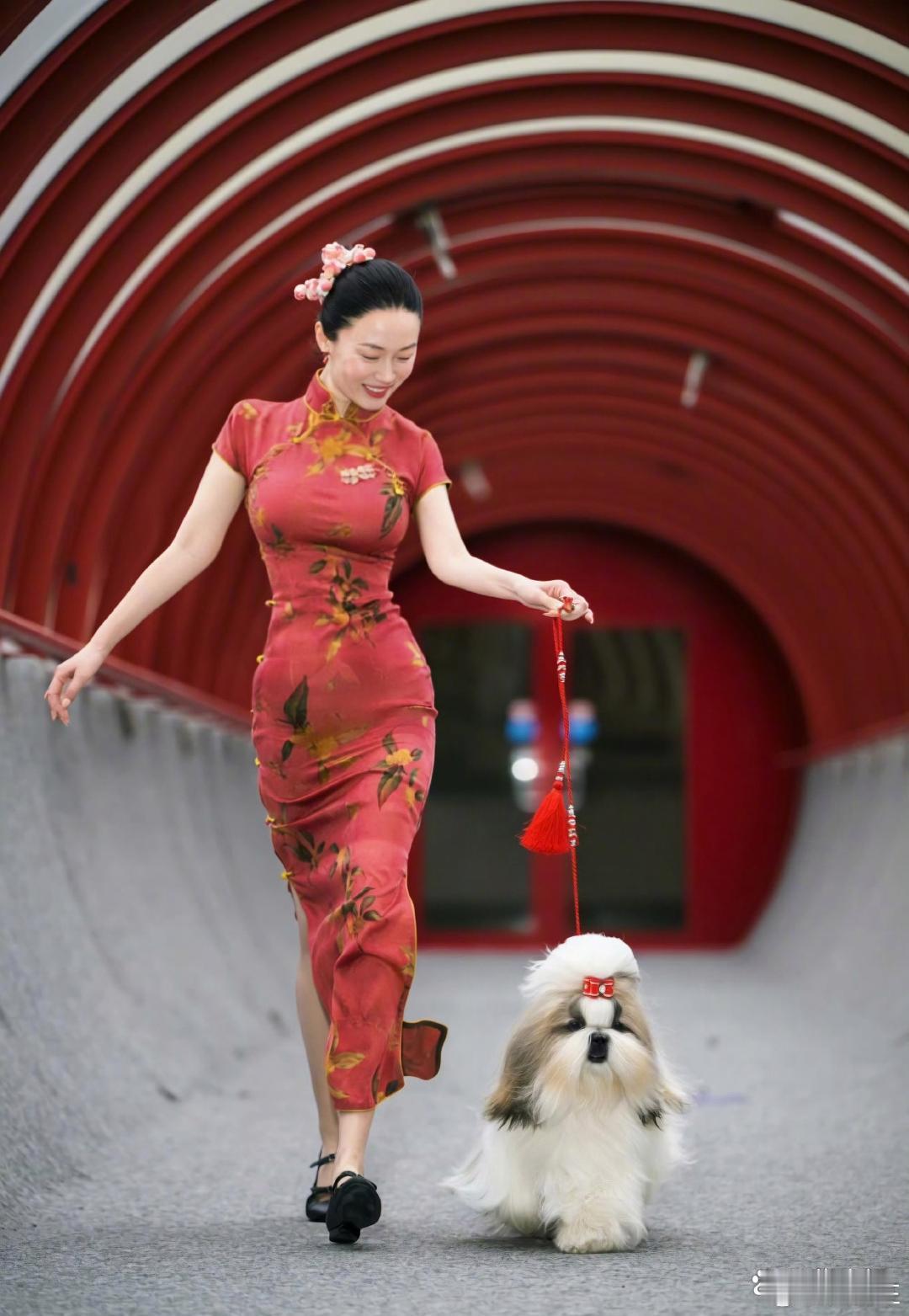 霍思燕这炫的到底是狗还是身材啊！