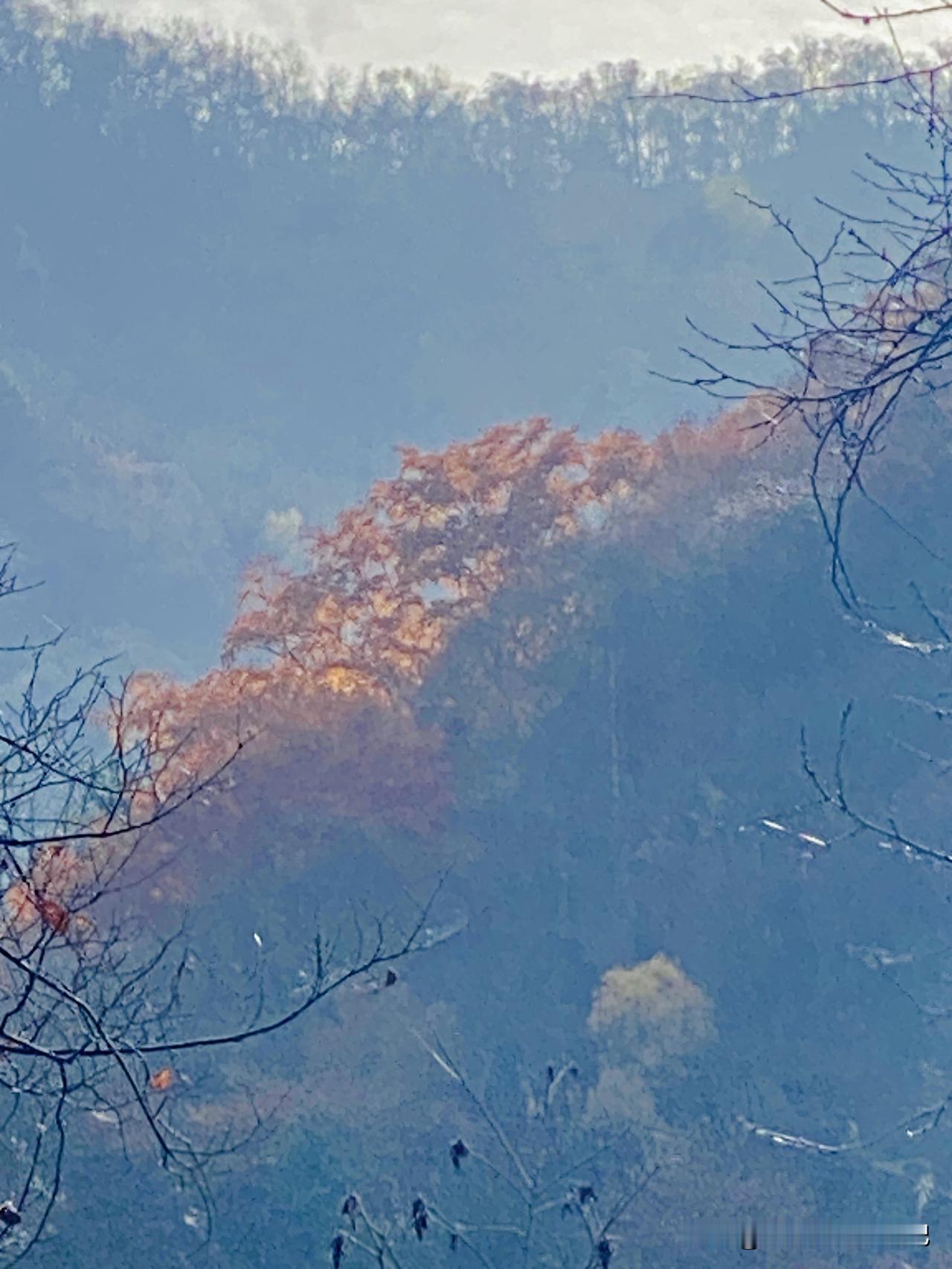 全程140公里穿越秦岭核心腹地的自驾路线太洋公路，仅用2公里的鹅黄桃红告诉我，“