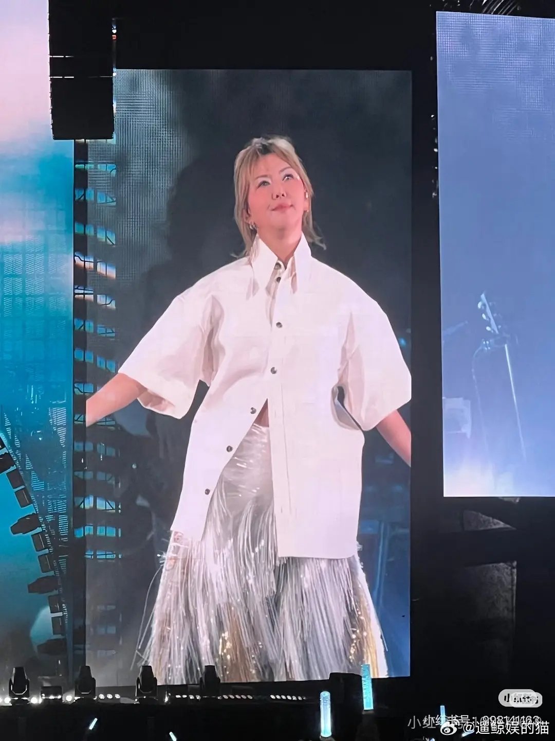 没想到孙燕姿也会变丰腴