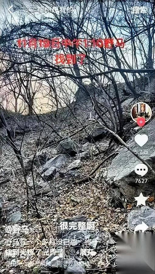 南太行传来重要消息！失联40天的饶某辉有下落了辉县驴友野马带着爱犬旺财，