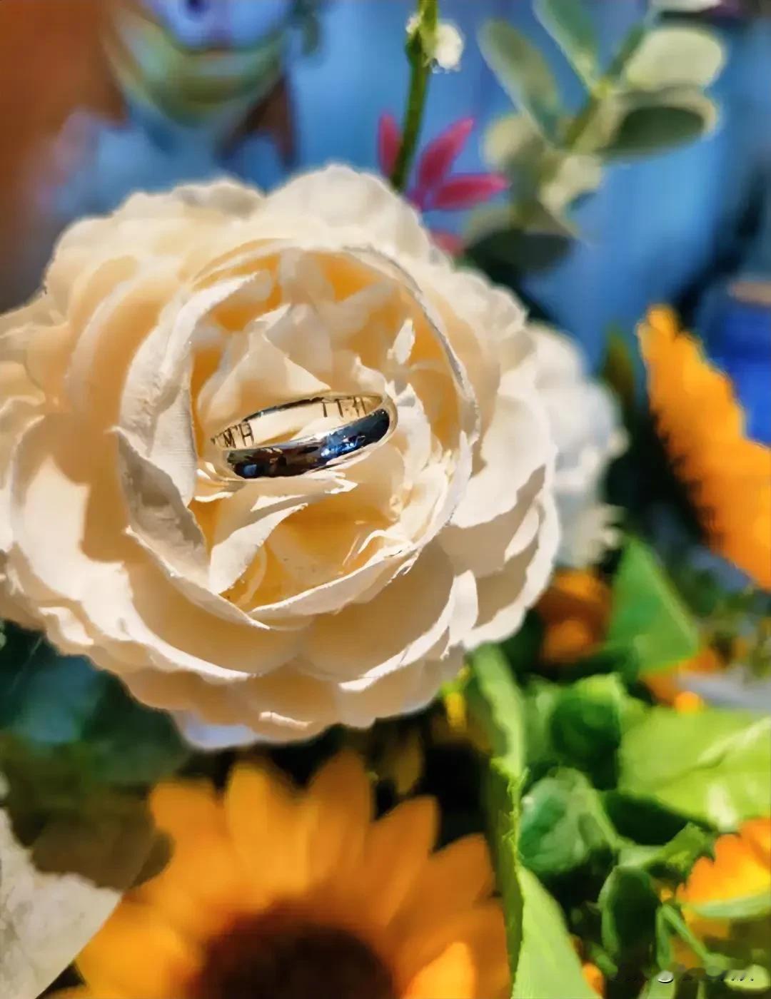 一位情感专家对结婚的诠释一针见血，他说：“但凡一个人独处，生活过得舒坦，琐事自己