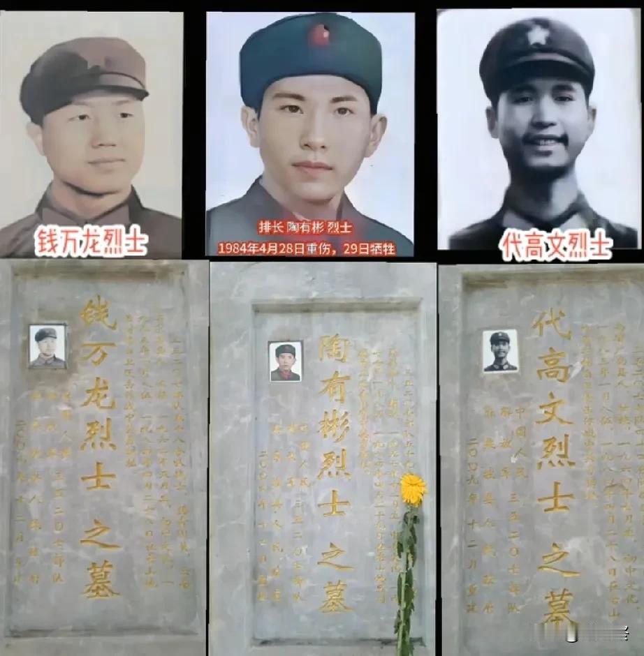 在老山战役浩渺的英烈长河中，有三位烈士格外令人动容，他们是钱万龙、陶有彬和代高文