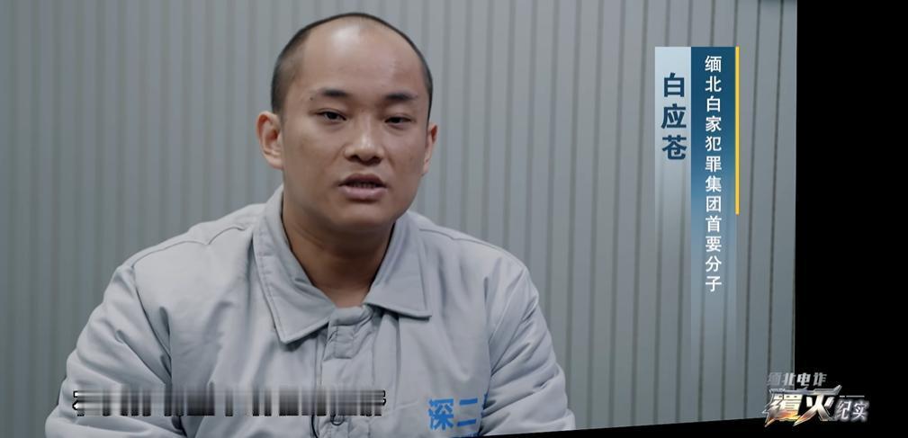 当央视开播《缅北电诈覆灭纪实》，镜头里晒现金的“县长”和拼命逃跑的年轻人同时出现