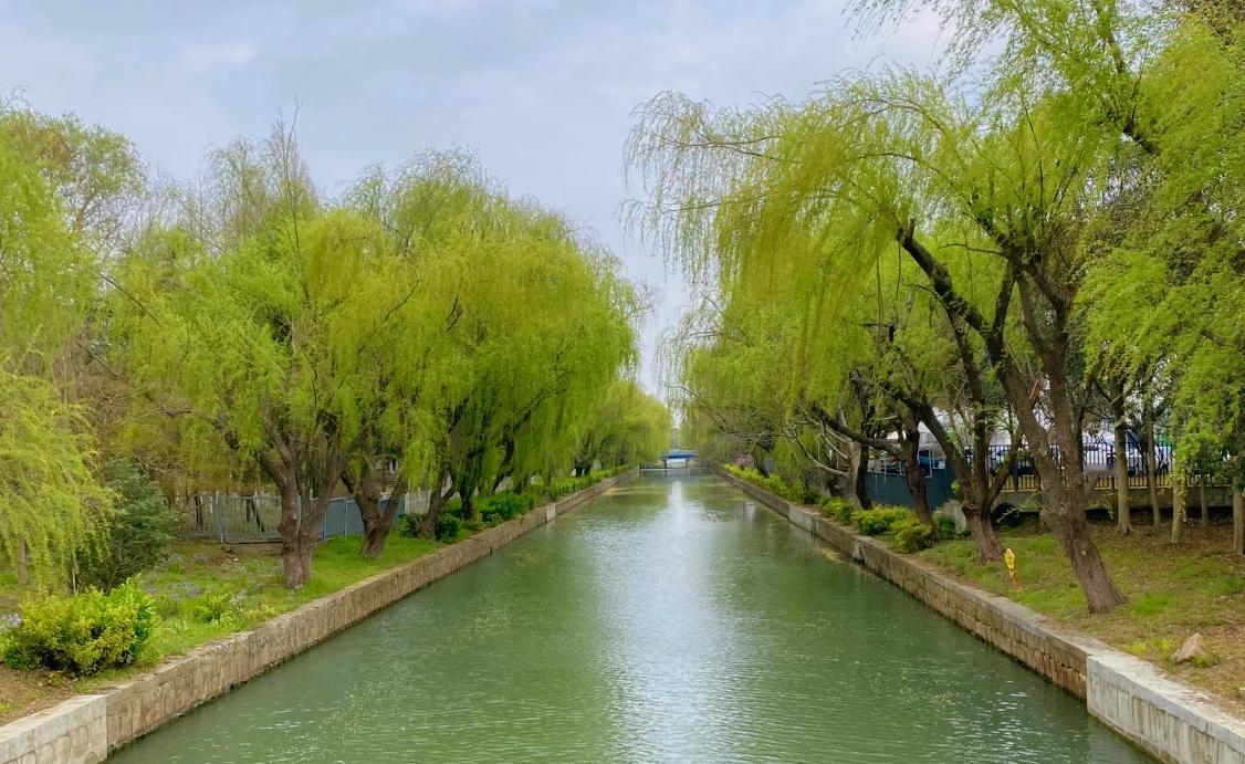 刘震云：）男女那点事：说高尚点，就是爱情和婚姻；性和爱本身就是无法分割的