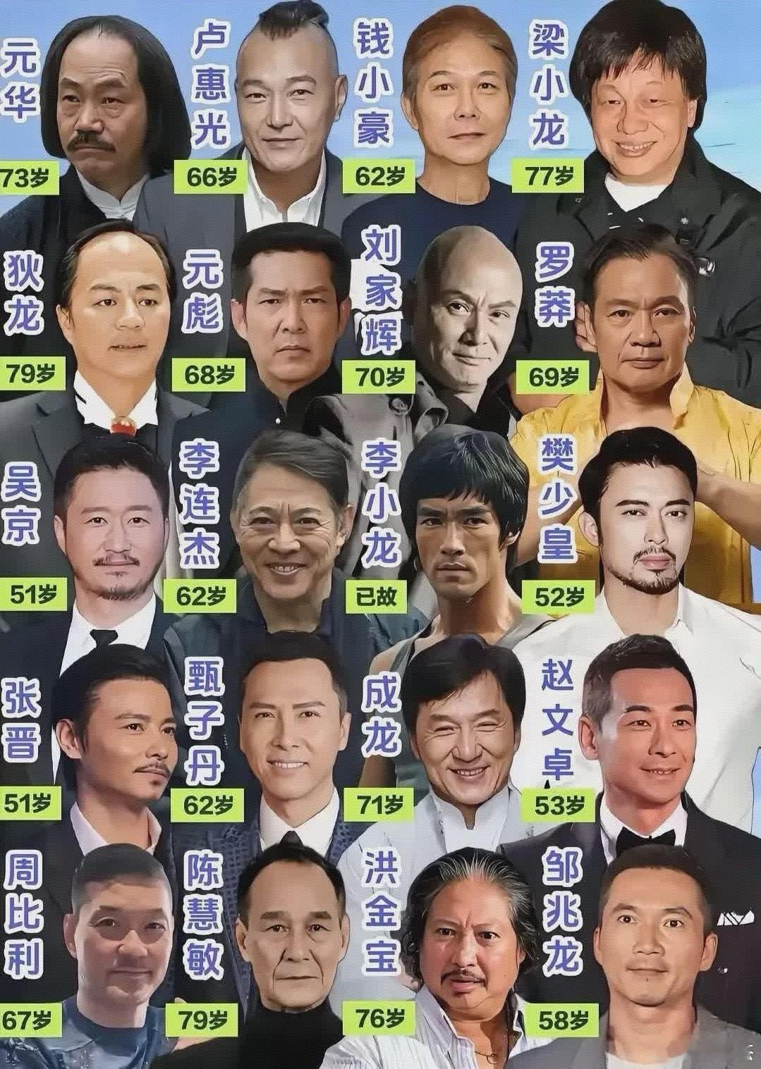 这么多功夫明星中，你最喜欢哪位？