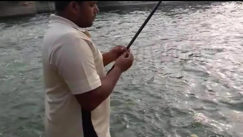 1424461703957006683.jpg?id=0