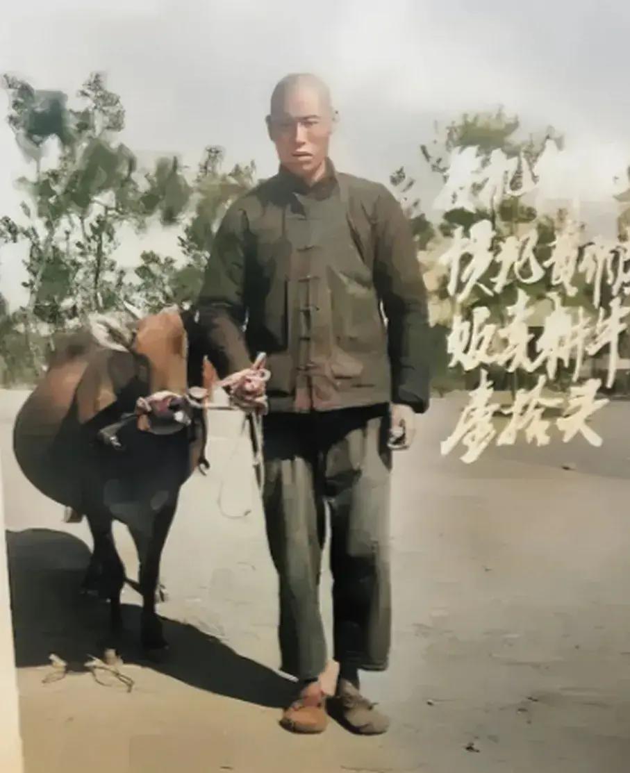 上世纪60年代的一天，一个农民牵着一头牛缓慢地行走着，但他不是在去耕地的路上，而