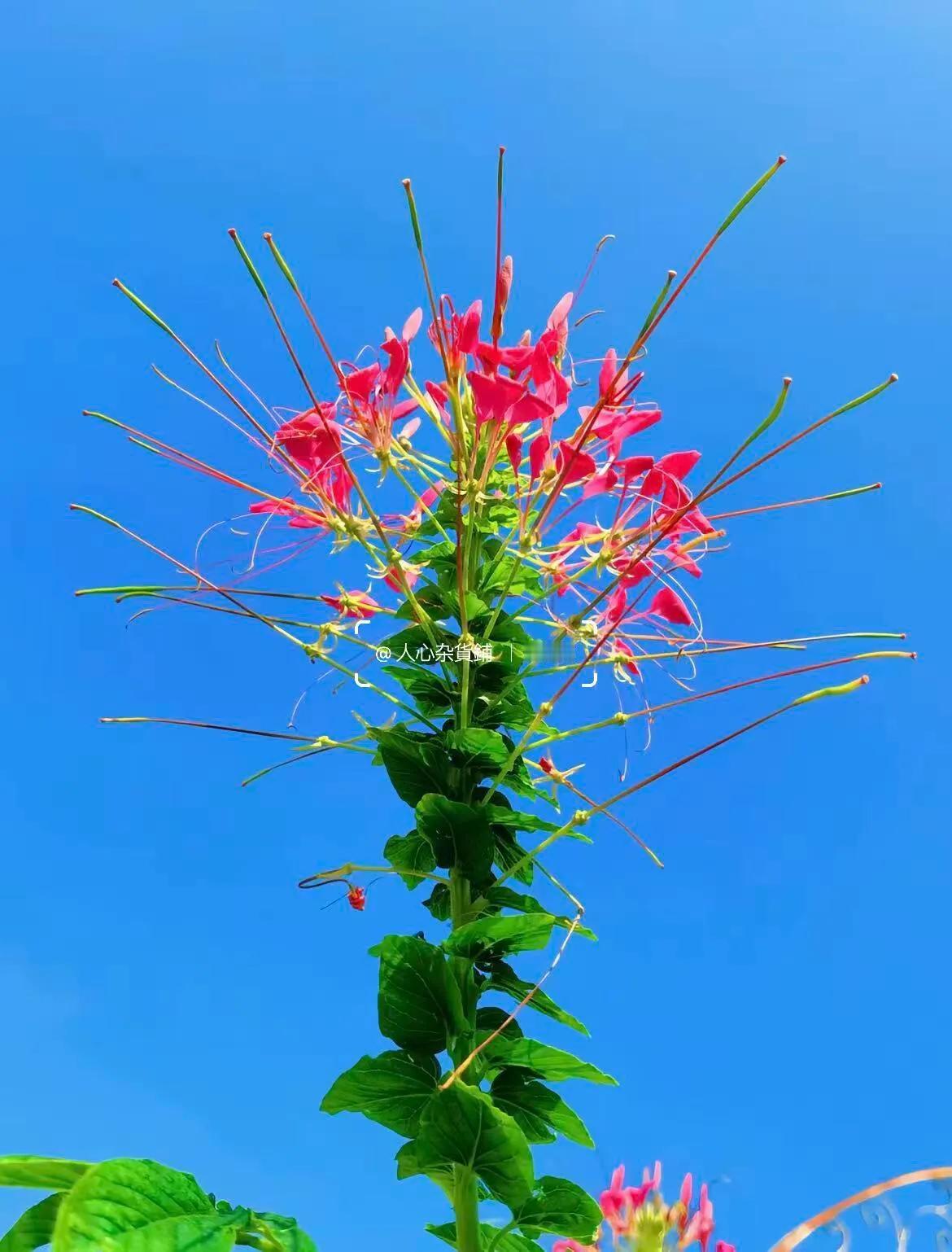 如今的网贷很可怕，孩子的幼儿园老师离职了。所有家长都收到不同的骚扰电话，都是催款