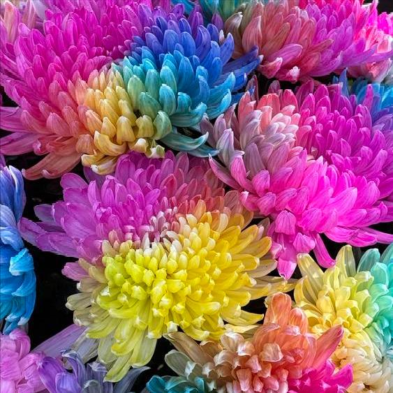 11月7日，一则关于苏州原官员的信息传递出。  这一则信息是事关唐晓东的。