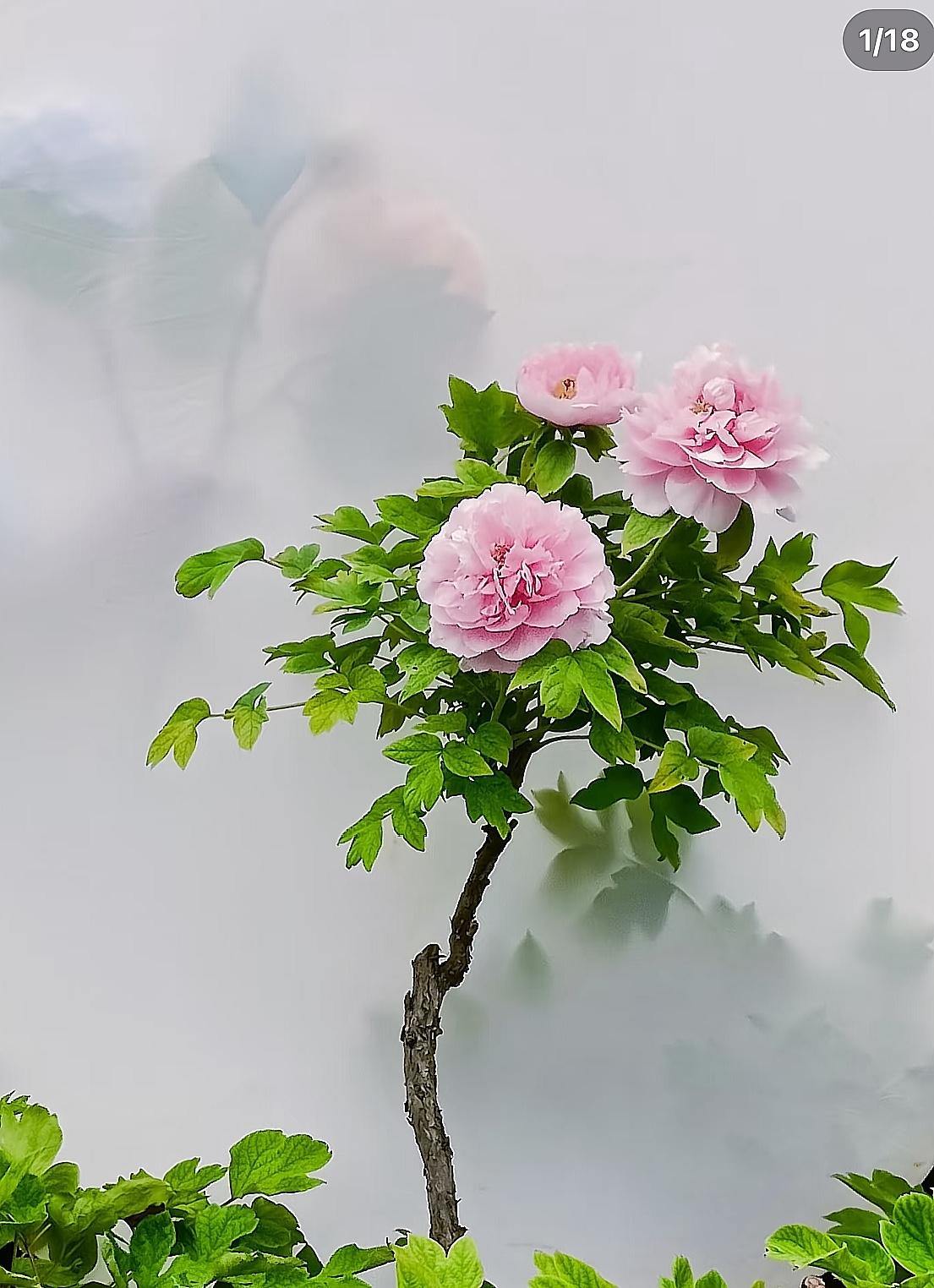 钱越来越难攒，奉劝大家：钱，千万要攥紧，能存就存，往后的日子花钱的地方只多不