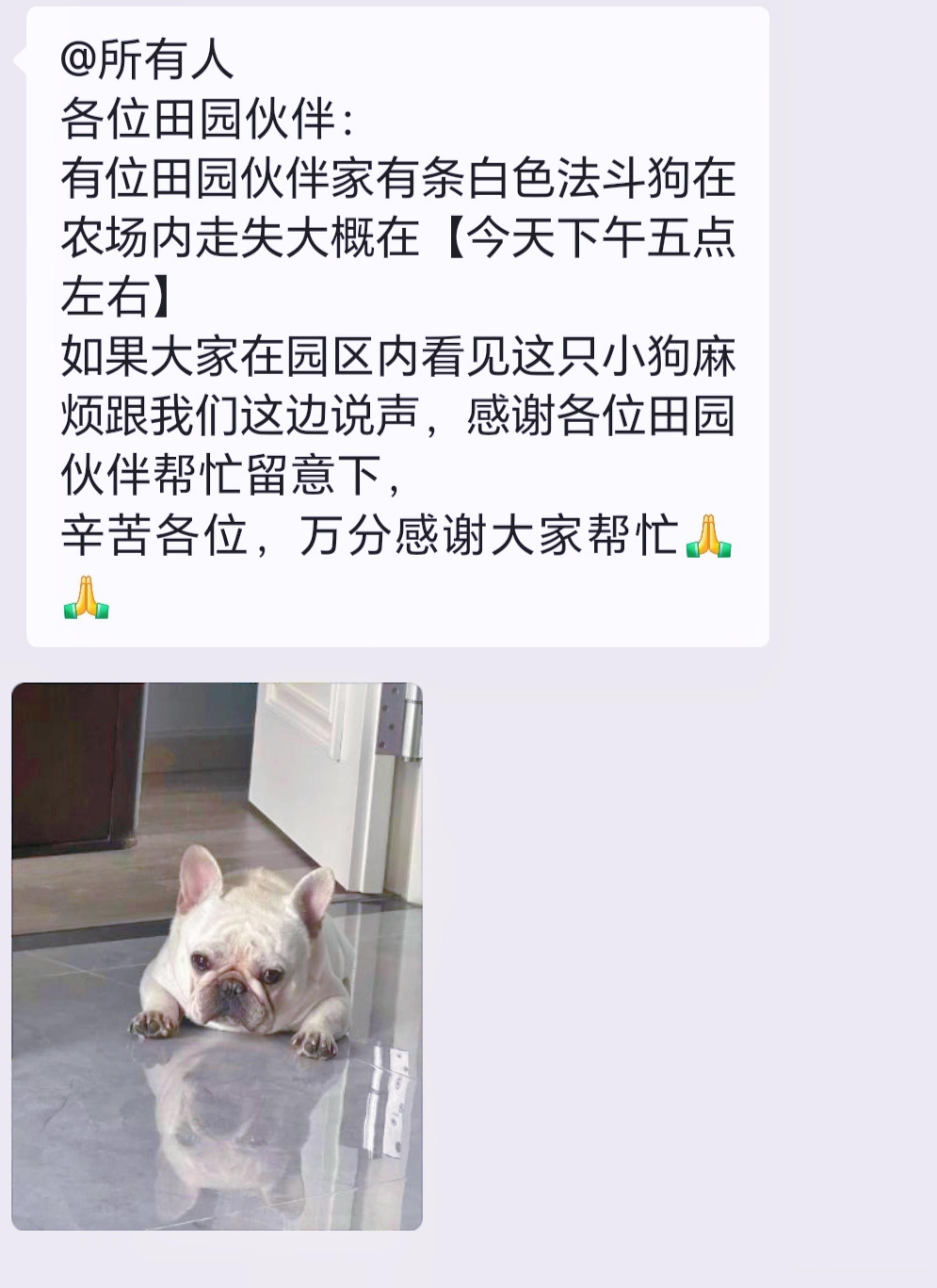 农场邻居狗狗丢了，农场在群里发了告知：（1）如果我捡到了，送过去能要个报酬么？比