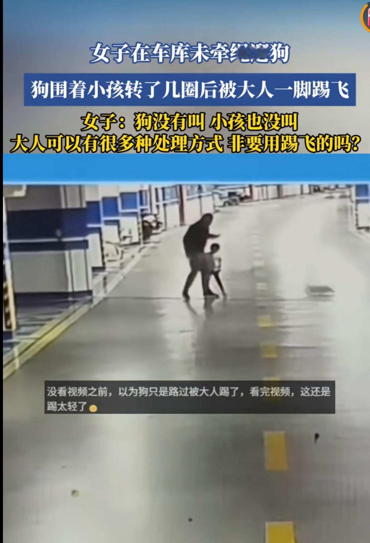 这只狗追着孩子，踢死都不为过，没想到只是踢飞，遛狗不牵绳，就是狗遛狗，有些人说的