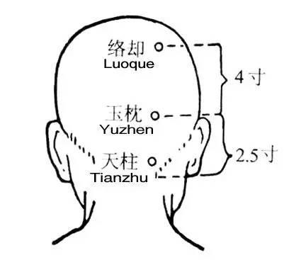 天柱穴、曲差穴: 主治颈椎酸痛、头痛、鼻炎