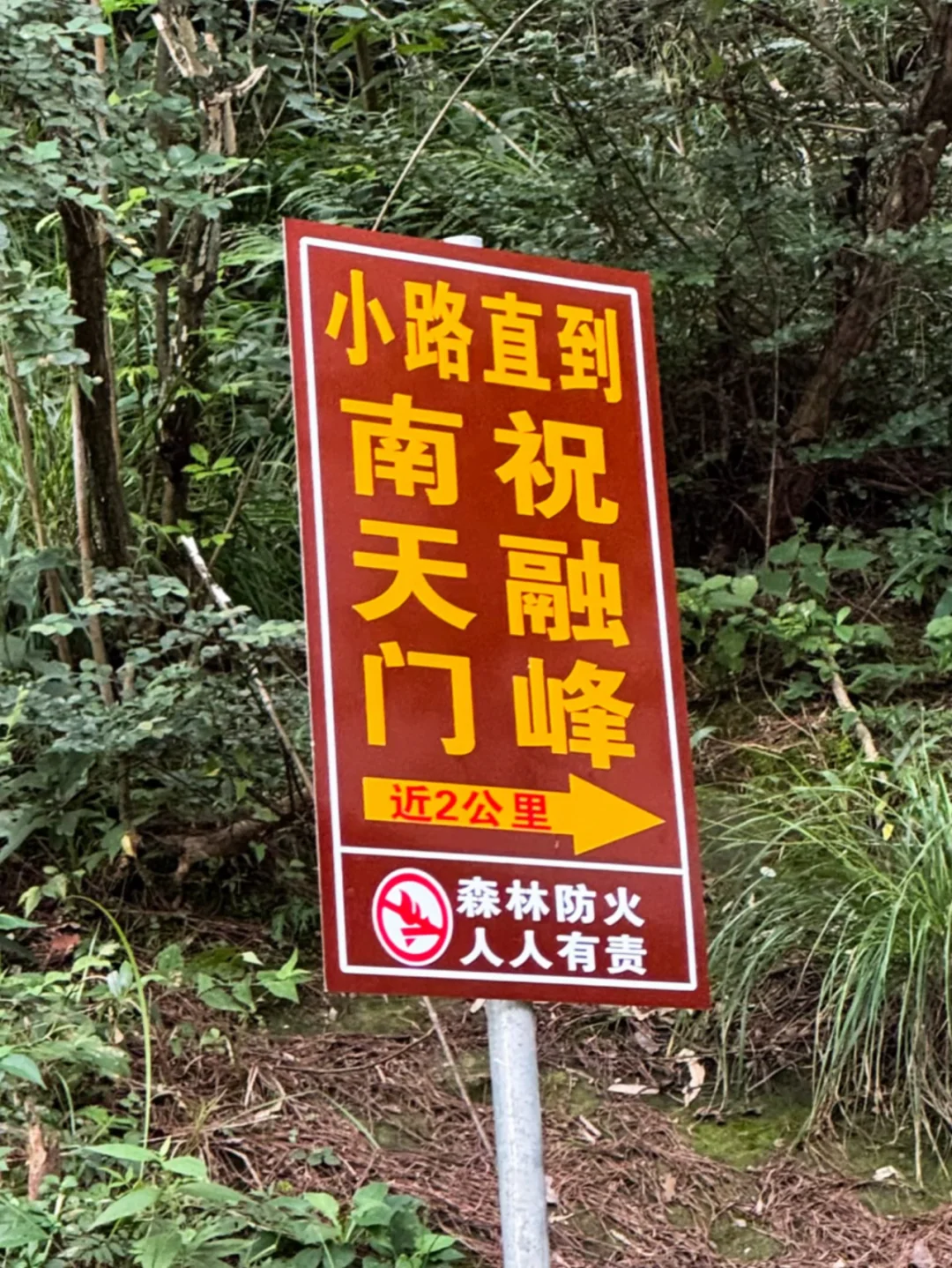爬衡山都给我牢记这个牌子