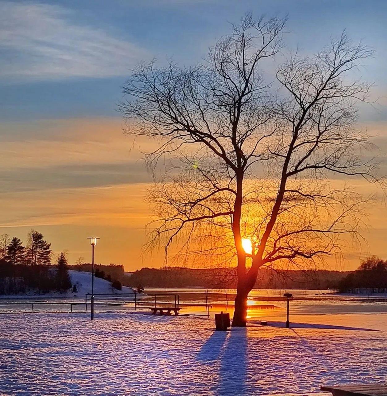 刚才刷到一条朋友圈截图，一个女人发长文哭诉，说自己离婚两年，现在想复婚，前夫直接
