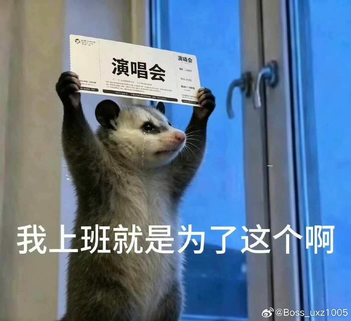 #肖战##肖战友情票有的话也很少#从10：10分官宣到现在连黄牛看了都直摇头[捂脸哭]​建议粉丝凭运