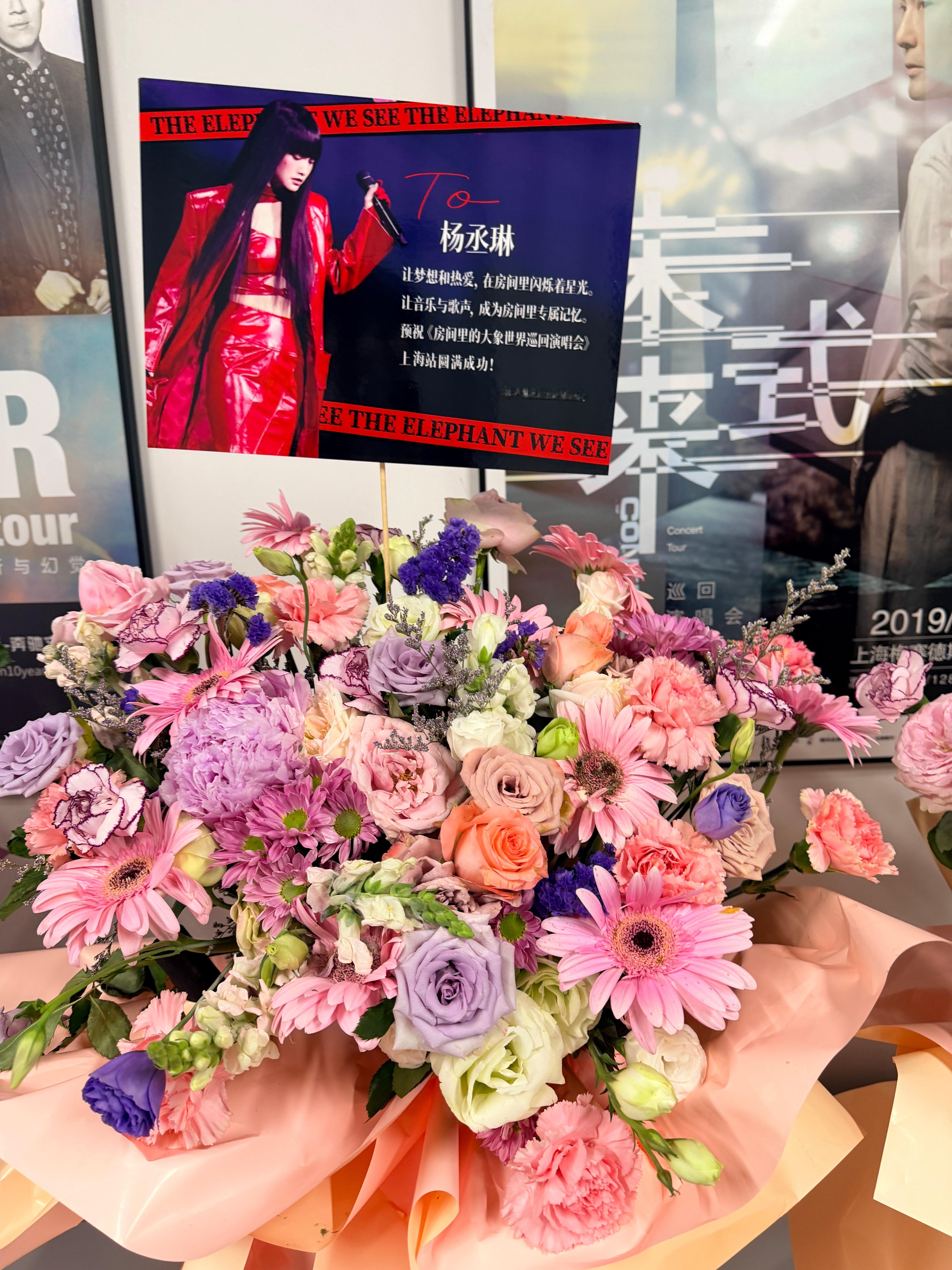 【杨丞琳房间里的大象巡演上海站】让梦想和热爱，在房间里闪烁着星光🌟让音乐与歌声