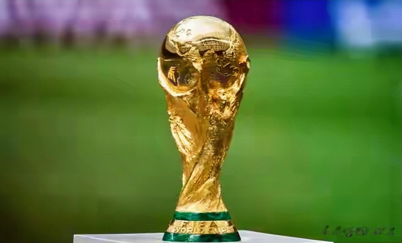 国际足联最初对中国大陆的转播权开出了3亿美元的天价。经过数月博弈，央视最终以60