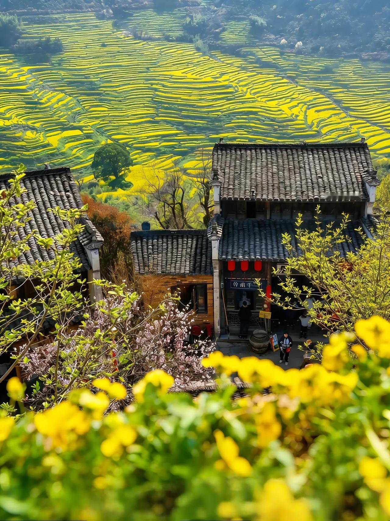 单位有位老师平时工作极为认真，每天早早便来到学校，一整天在学校都显得十分努力。然