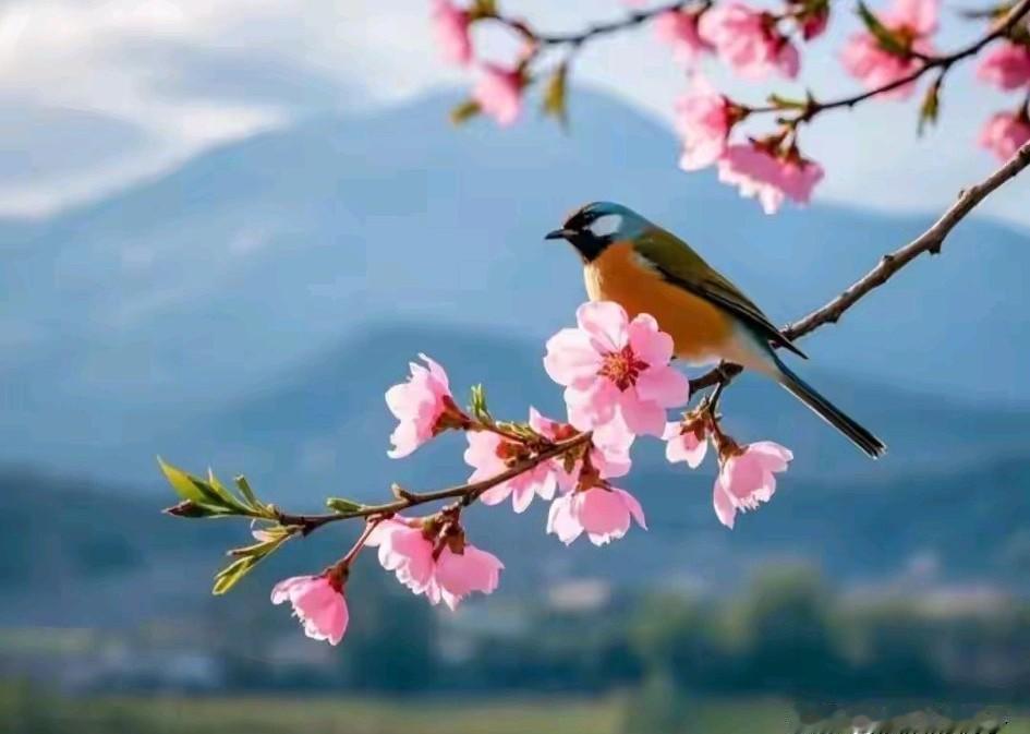 邻居女孩，已经是第三年考研究生，真的很执着，为什么不出去找工作？正好碰见她妈妈，