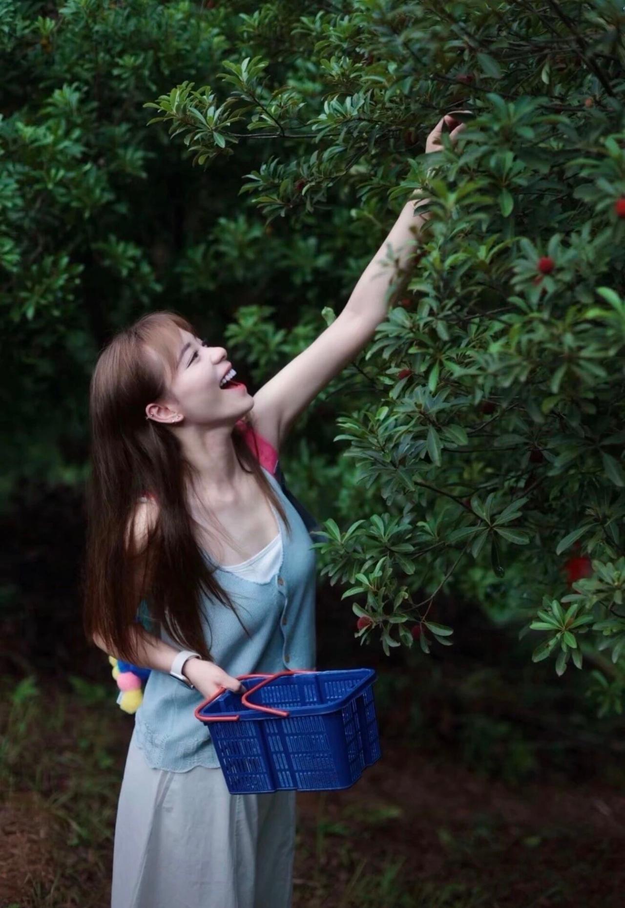 🍒采摘时光，笑语盈盈！🍒