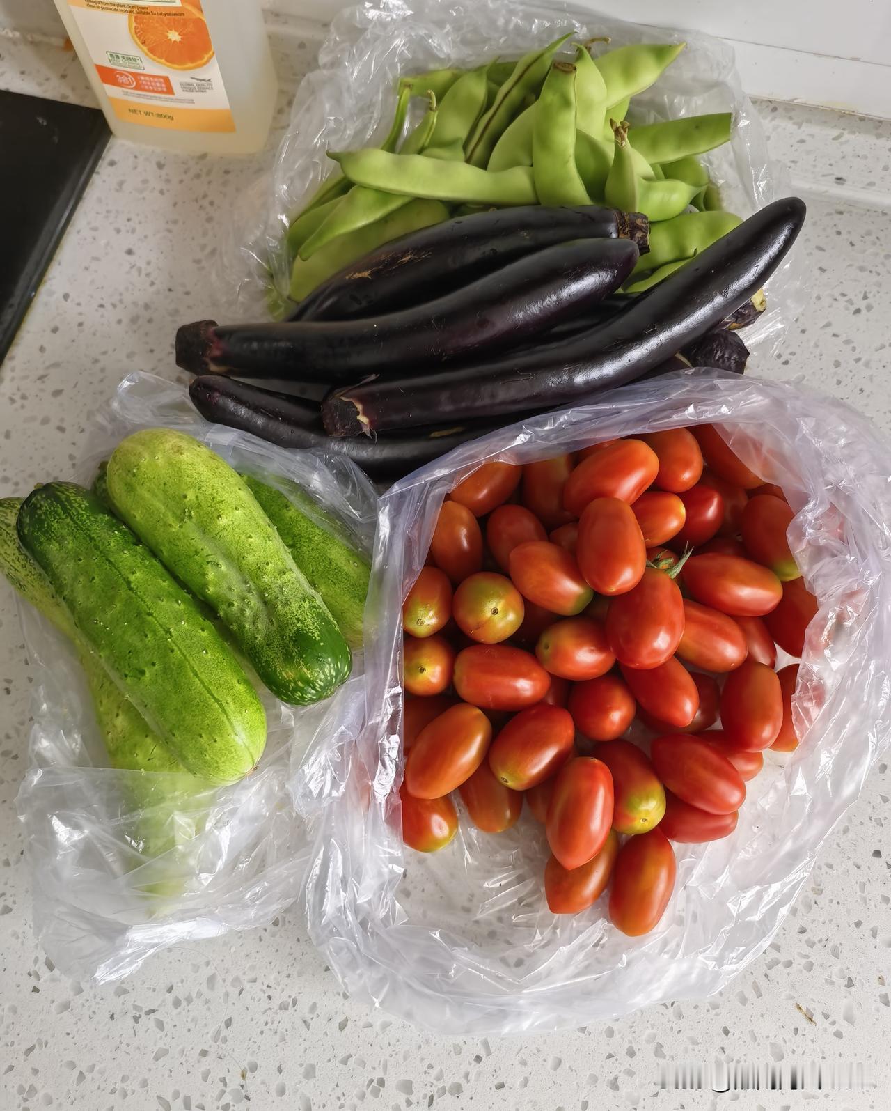 谁也没想到，正值盛夏，不起眼儿的黄瓜，涨价了，鸟枪换炮了！刚刚从早市回来，没