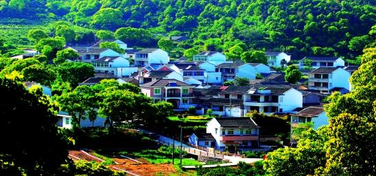 普陀区展茅街道干施岙经济合作社是我市发展乡村旅游的样板,而淳安和