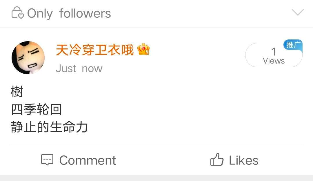 存一期关于树的文案树是另一种意义的海