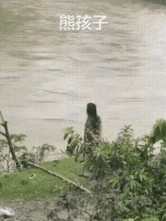 什么样的父母能教育出如此狠毒的孩子，可怜的家庭教育！