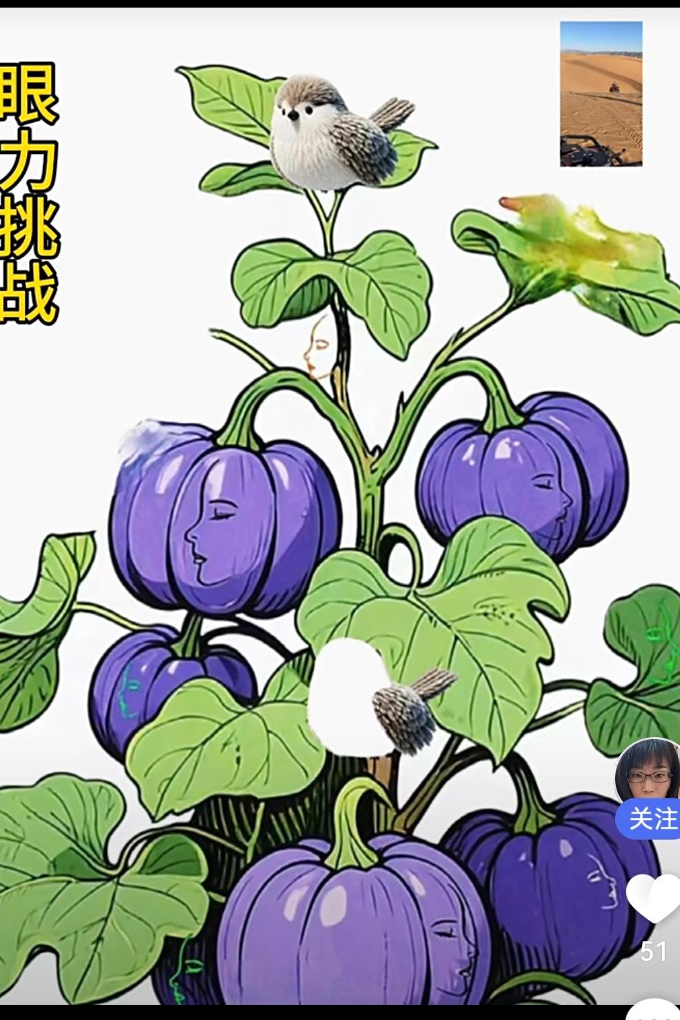 敢来挑战吗👀这张图好多人都找不全！画面上看着是紫色南瓜和小鸟，其实里面