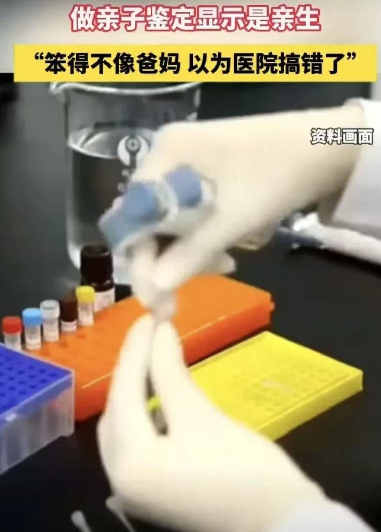 “亲子鉴定惊现反转！”两位博士父母因孩子不聪明，竟怀疑当初在医院是不是抱错了，夫